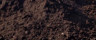 Свойства, характеристики и состав плодородного грунта