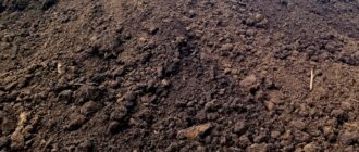 Как определить качество плодородного грунта
